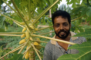 Sri-Lanka